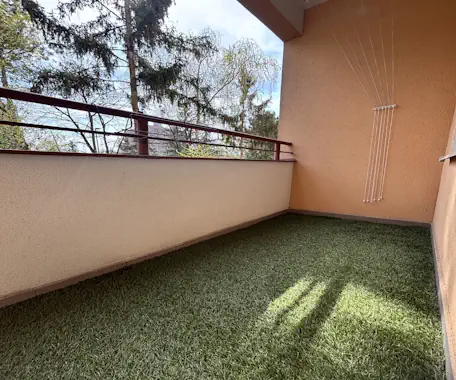 Fotografia pred úpravou